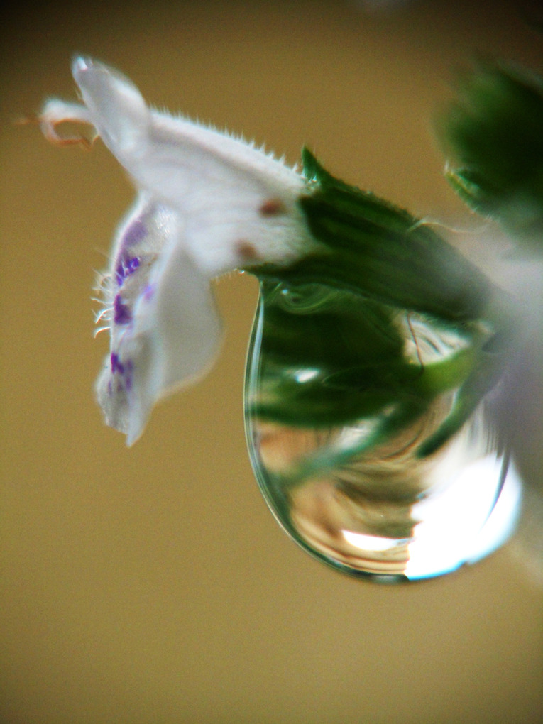a drop of water No-4