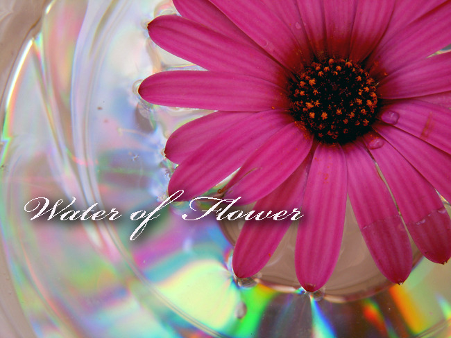 Water of Flower #4