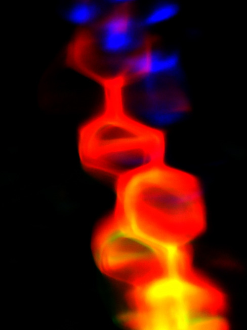 chain（鎖）