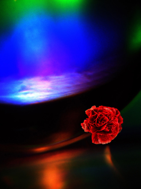 art and flower#4