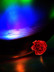 art and flower#4