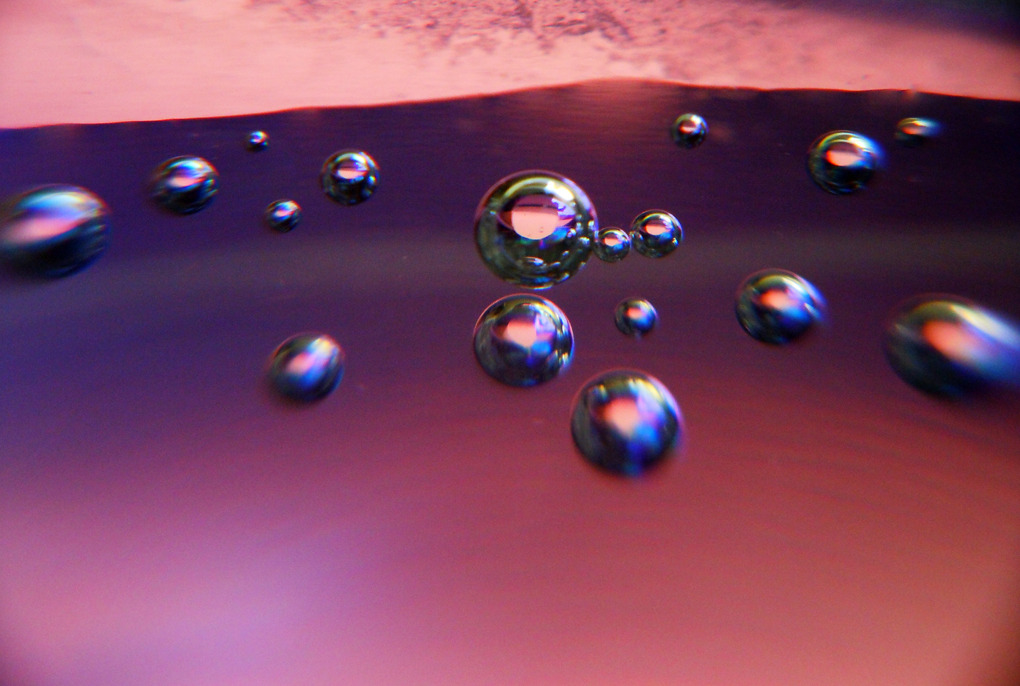 グラスの中のCOSMOS #3