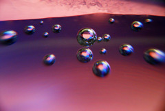 グラスの中のCOSMOS #3