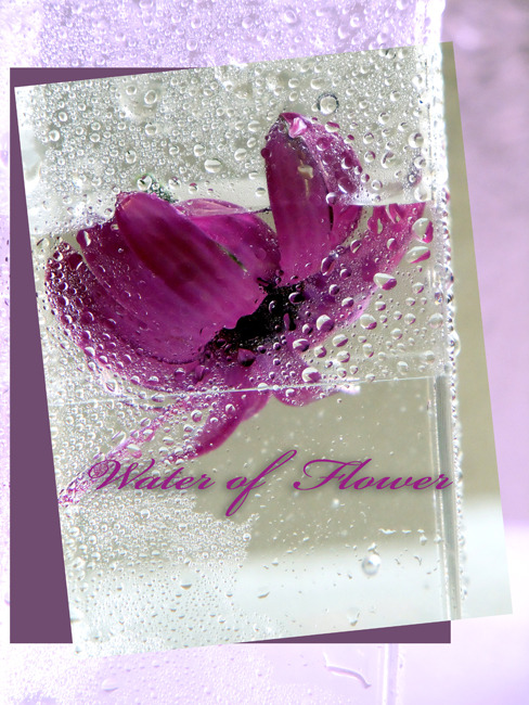 Water of Flower #6
