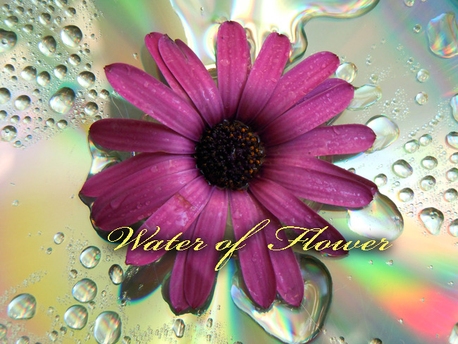 Water of Flower #1