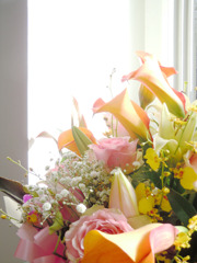 花 #2