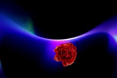 art and flower#2