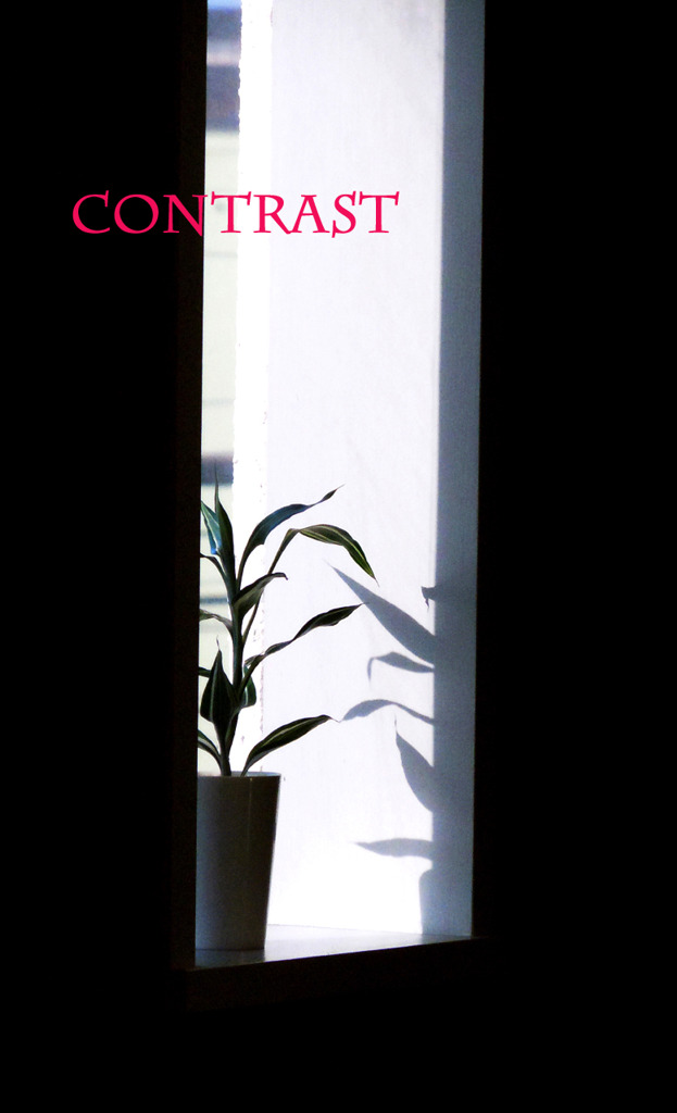 contrast