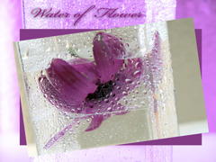 Water of Flower #5