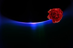 art and flower#1