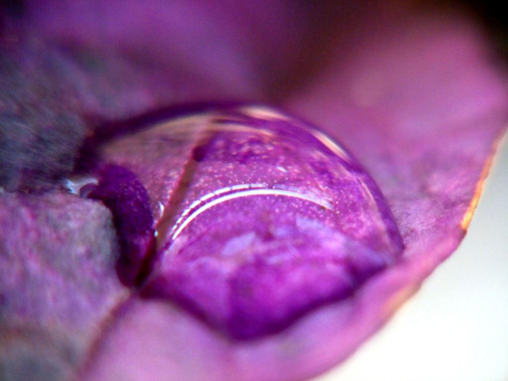 a drop of water No-2