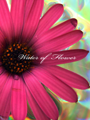 Water of Flower #2