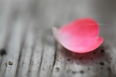 「　I Love You　. . .　こぼれたハート　」