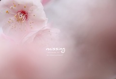 missing