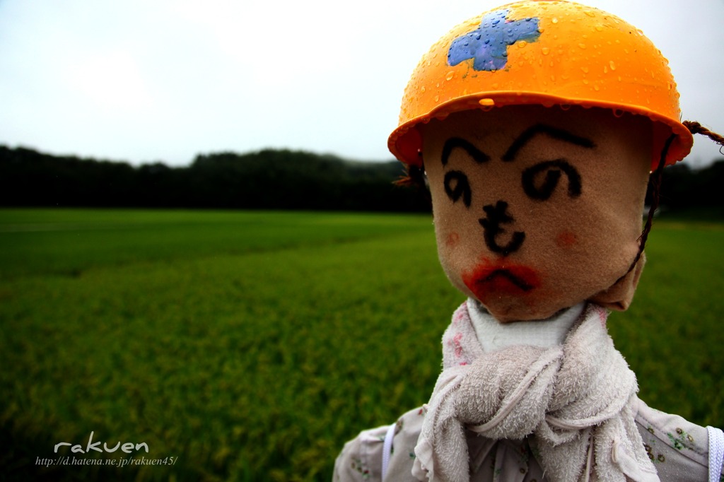雨の中、ご苦労様