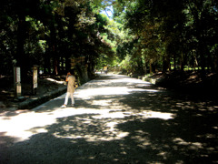 春日大社参道