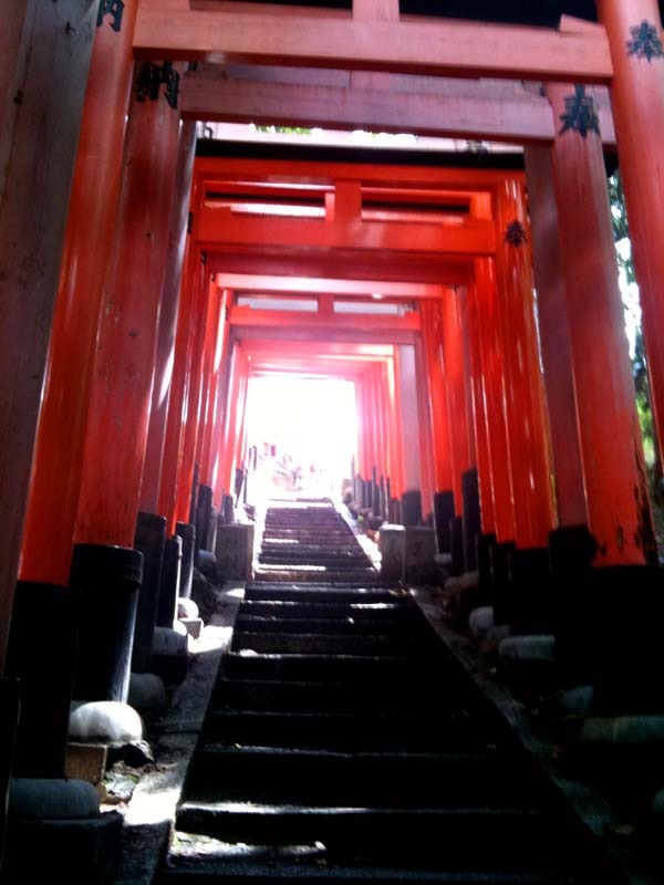 神社の異界感ハンパねぇ