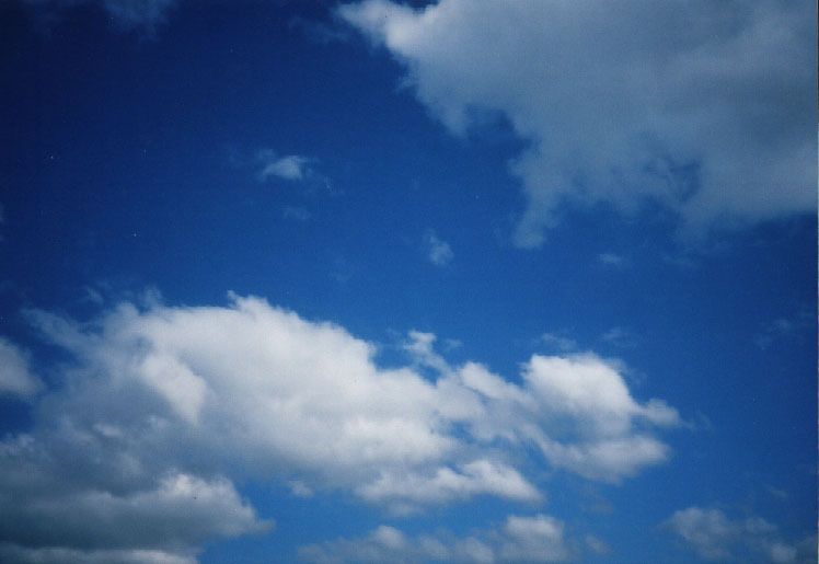 アグファの空