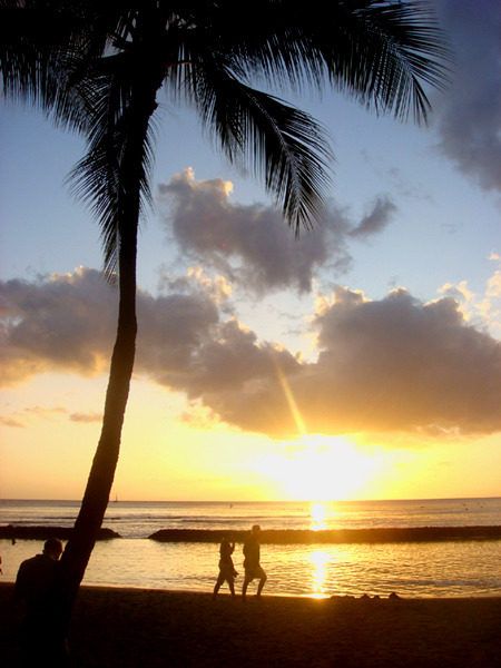 WAIKIKI SUNSET
