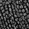 顕微鏡写真　水草
