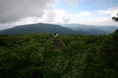 ヒバゴンの山から