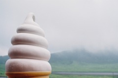 FH020009