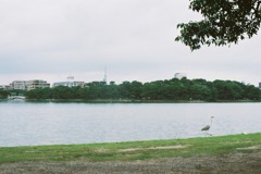 FH030036