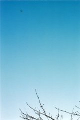 img014