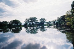 FH040033