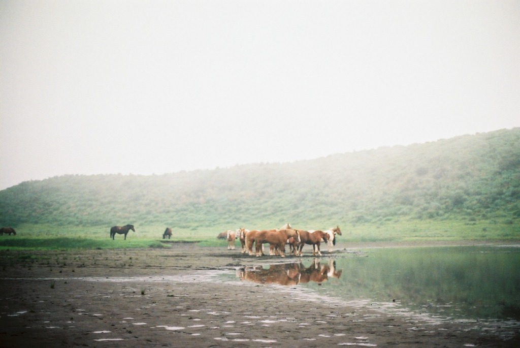 FH010029