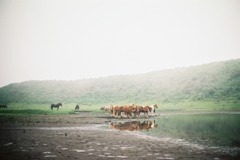 FH010029