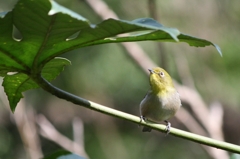 もう晴れたかな？