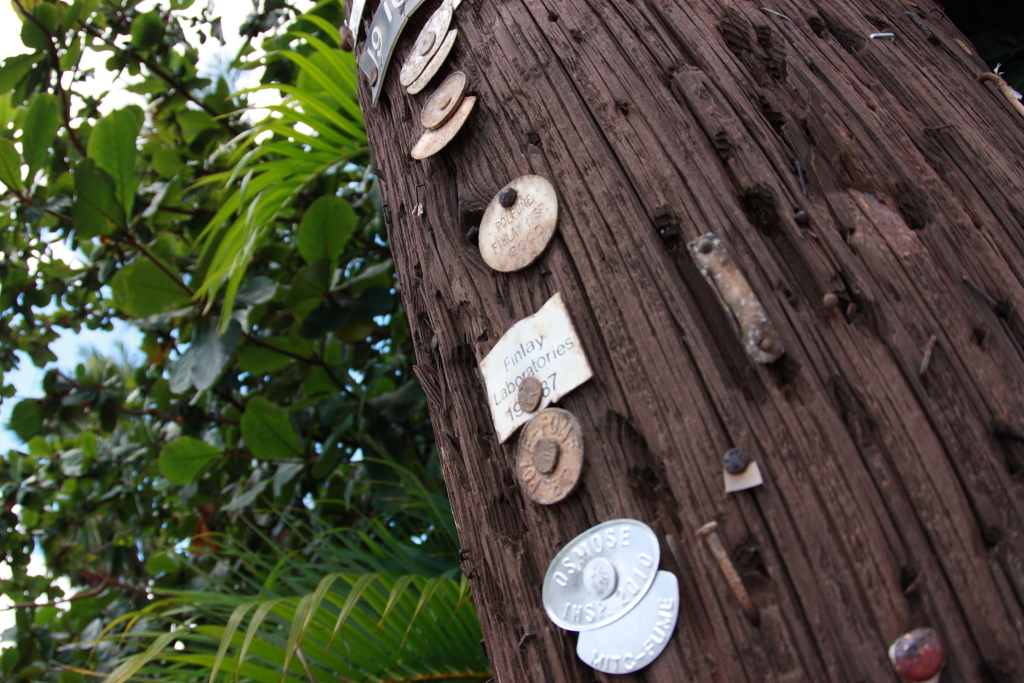 Plates on an electric pole