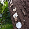 Plates on an electric pole