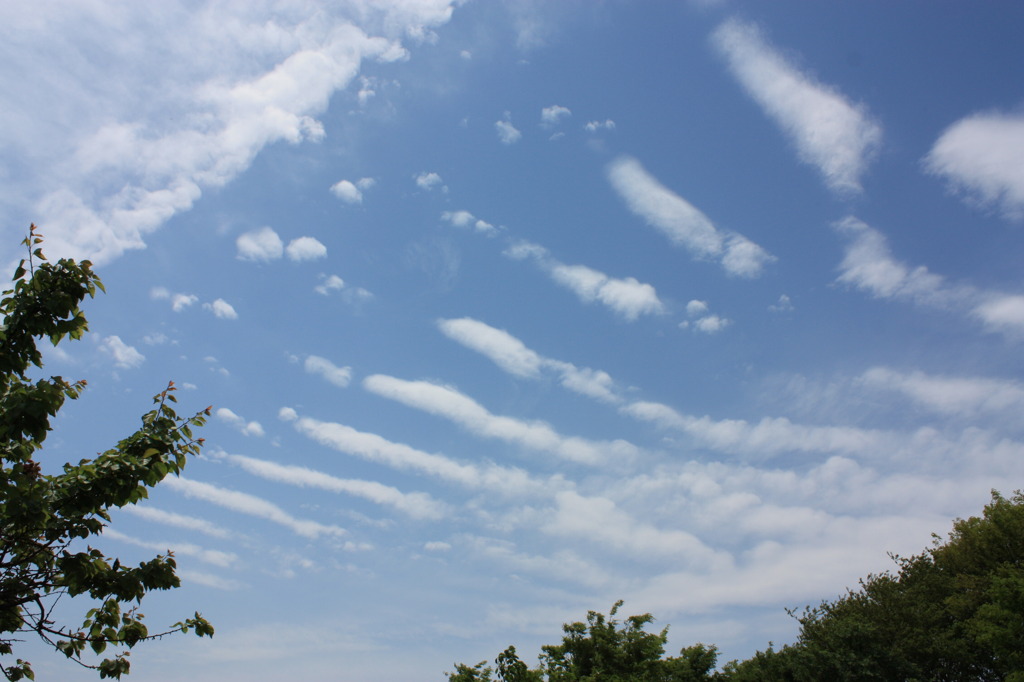 雲の整列