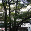 横浜の古いたてもの