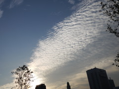 秋空　夕刻