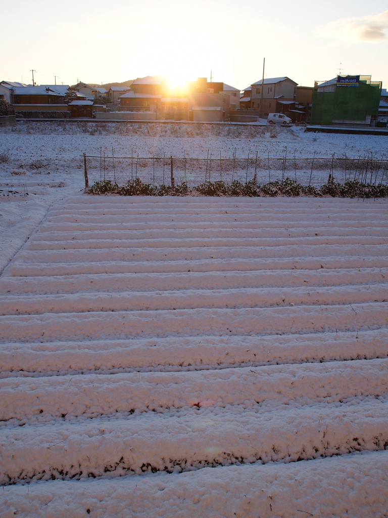 雪も染まる時