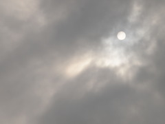 負けない太陽２