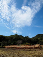 秋の風景