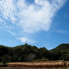 秋の風景