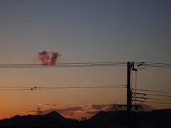 電線にとまっているのは雲