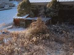 雪に隠された…