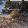 雪に隠された…