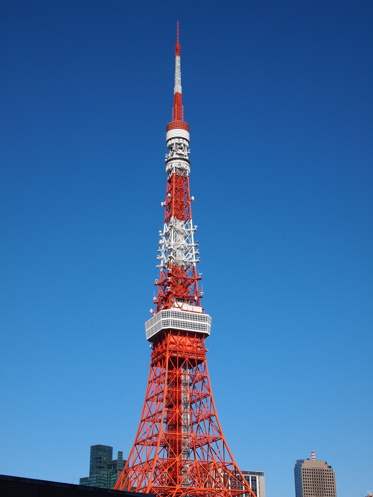 おのぼりさんの朝