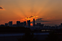 _MG_0558