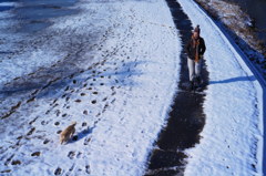 雪の日曜日