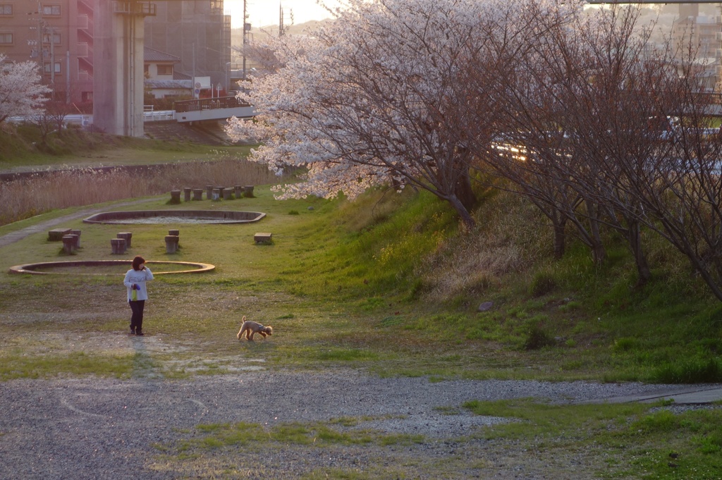 春の夕暮れ