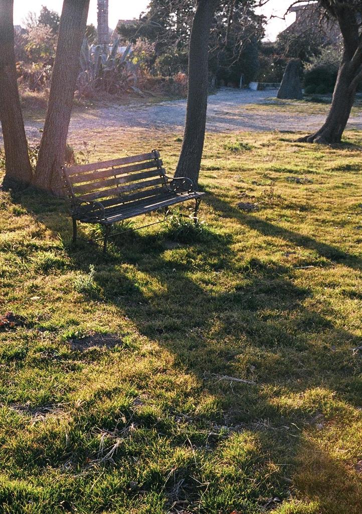 丘の上のベンチ