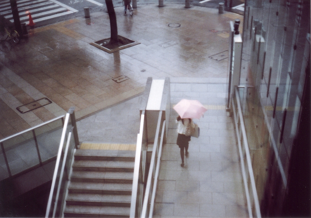 雨